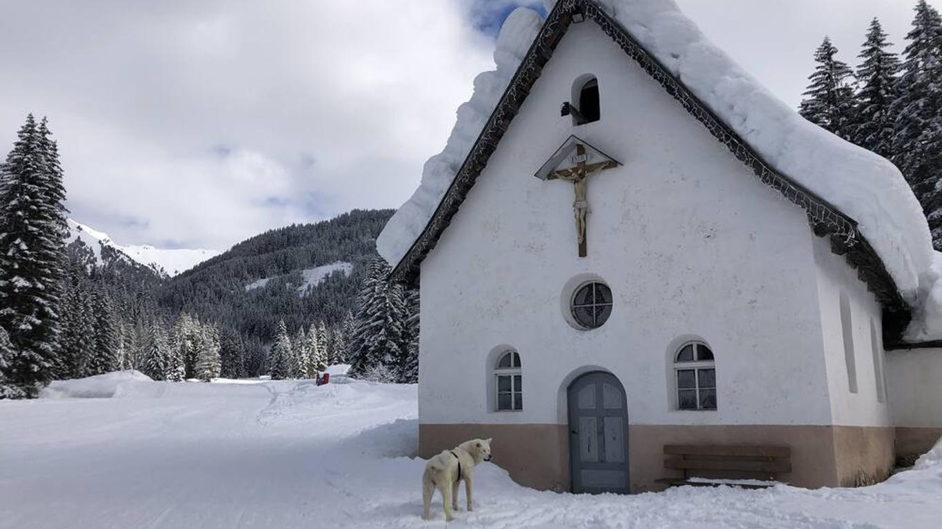 Alpine Touring Hotel-petfriendly