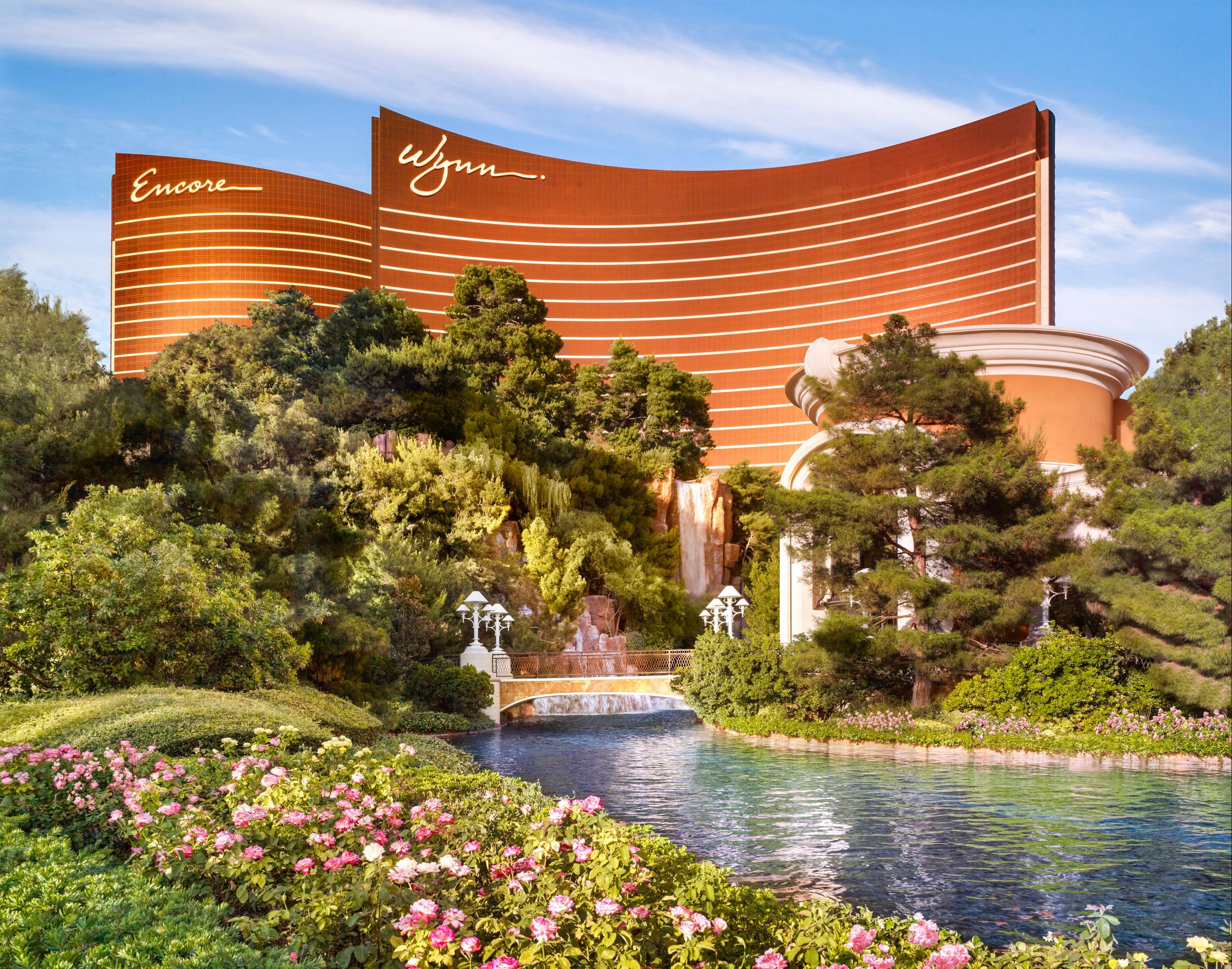 Wynn hotel hot sale pillows