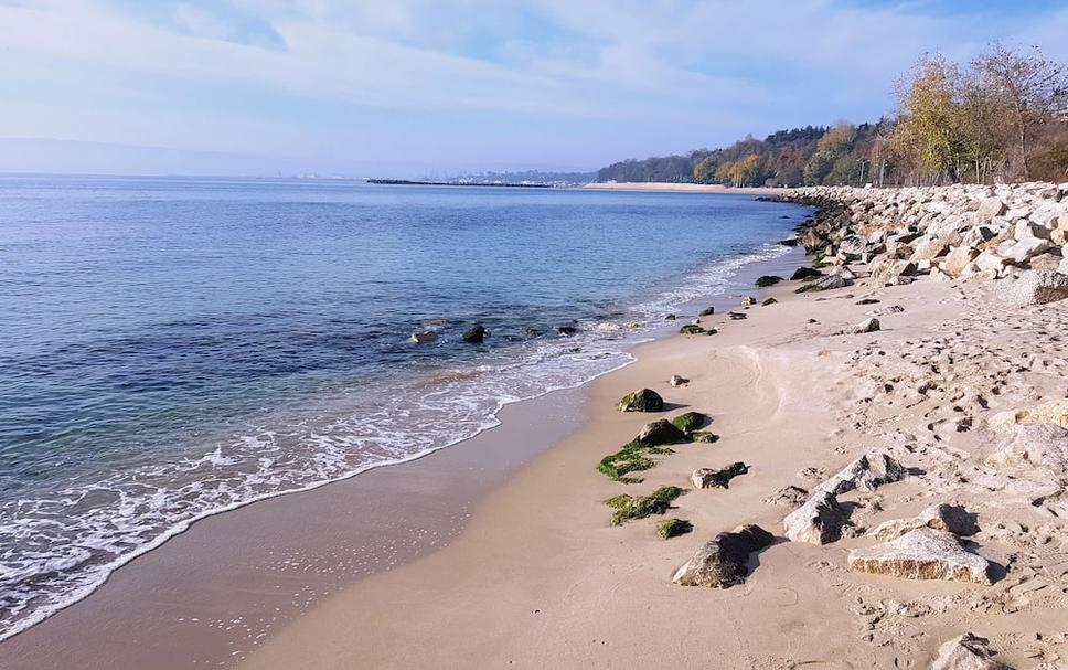 Beach Photo